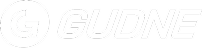 Gudne